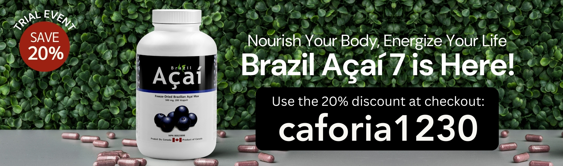 caforia-banner (38).jpg